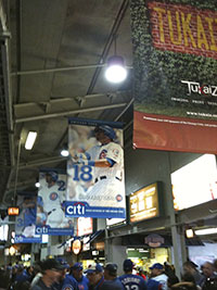 Wrigley Field Banners